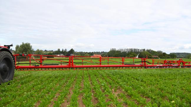 Het Europese Parlement heeft ingestemd met een snellere goedkeuring en invoering van biologische bestrijdingsmiddelen.