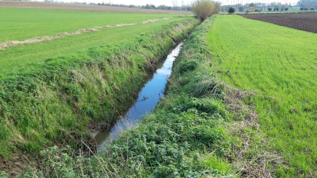 Vanaf 2026 kan je 2 nieuwe ecoregelingen aanvragen op beschermingsstroken langs alle VHA-waterlopen.