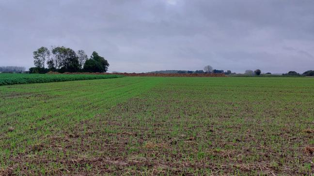 Bij het afvalschandaal in de Kempen werd meer dan 3.000 ton vervuild industrieel zout op akkers verspreid.