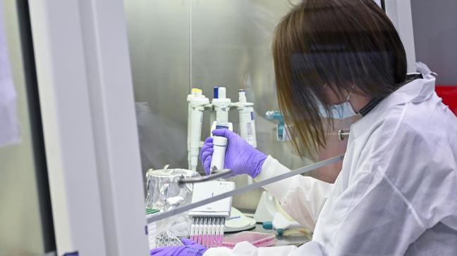 Het voorlopig Europees akkoord over nieuwe regels voor NGT-planten is een belangrijke stap voor de landbouw, vindt Boerenbond.