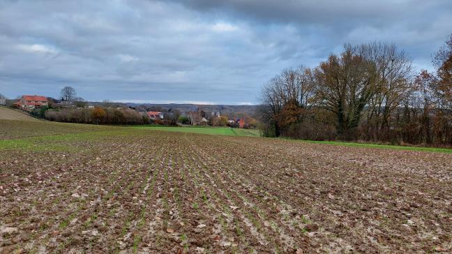 Een enquête peilt naar de werkelijke resultaten en naar de knelpunten en verbetervoorstellen voor de verschillende ecomaatregelen.