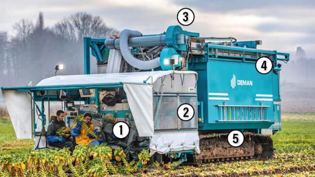 Zelfrijdende spruitenoogstmachines met rupsonderstel. De machine bestaat uit 5 hoofdonderdelen.