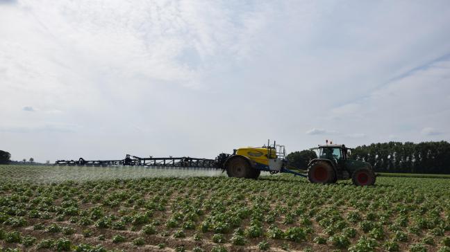 De natuurorganisaties zijn wel teleurgesteld dat de rechter geen uitbreiding van de bufferzones oplegde