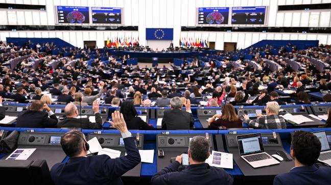 Het Europees Parlement stemde in met strengere beschermingsmaatregelen voor de boeren in het kader van het Mercosur-handelsakkoord.