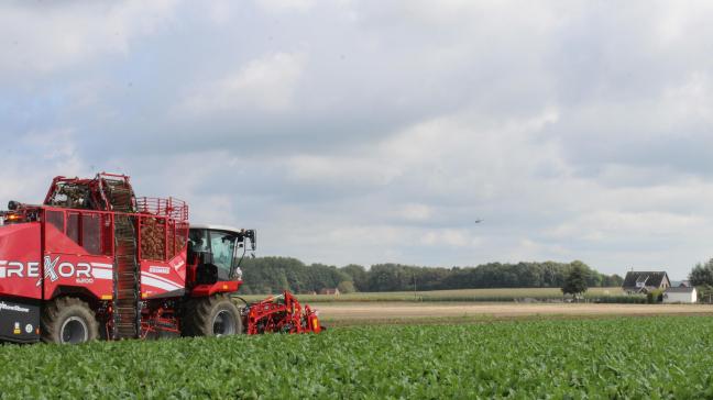 Gelegenheidsarbeid in de land- en tuinbouwsector wordt mogelijk gedurende respectievelijk 50 en 100 dagen via uitzendarbeid.