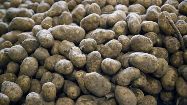 Belgapom meldt op 26 december dat er geen noteringen zijn op de vrije markt door een gebrek aan transacties.