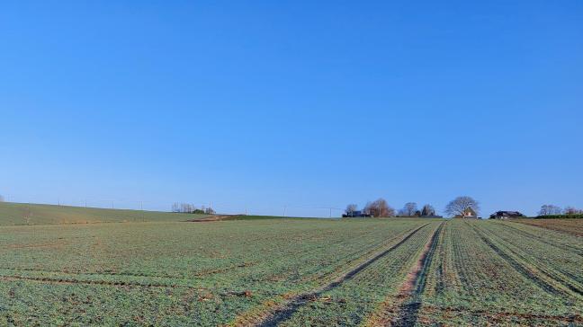 De luchtkwaliteit in ons land is het afgelopen jaar licht achteruitgegaan ten opzichte van 2024.