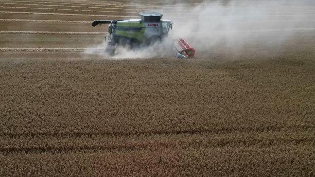 2025 was samen met 2014 het vierde warmste jaar sinds het begin van de waarnemingen.