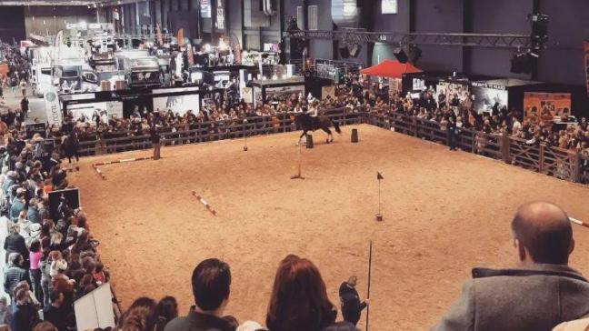 Flanders Horse Expo introduceert een nieuw wedstrijdconcept.