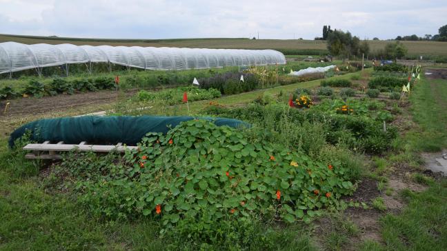 Hoop wortelt in agro-ecologie, zegt Wervel.