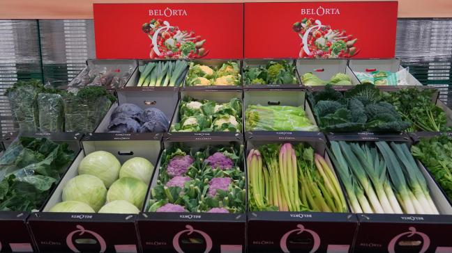 BelOrta realiseerde vorig jaar een productomzet van 631 miljoen euro, 5% lager dan de recordomzet van 2024.