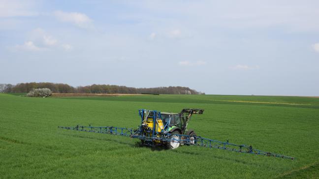 Frankrijk verbiedt de import en verkoop van plantaardige producten die behandeld zijn met gewasbeschermingsmiddelen die in de Europese Unie verboden zijn.