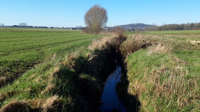 Met peilgestuurde drainage kan je water in de bodem in natte periodes beter vasthouden om gewassen door droge periodes te helpen.