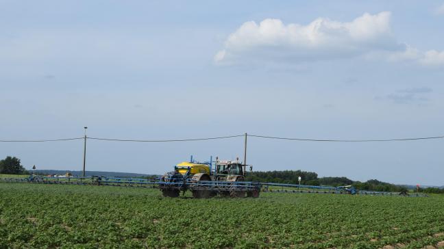 Een goede IPM-strategie begint bij het vermijden van ziekten, plagen en onkruiden.