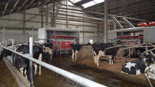 De export van land- en tuinbouwproducten van Nederland naar België nam in 2025 toetot 17,1 miljard euro.