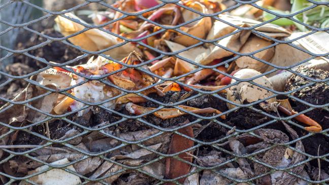 Enkele houten palen, wat tuingaas en een goede mix tussen groene en bruine materialen vormen de basis voor een goed composteringsproces.