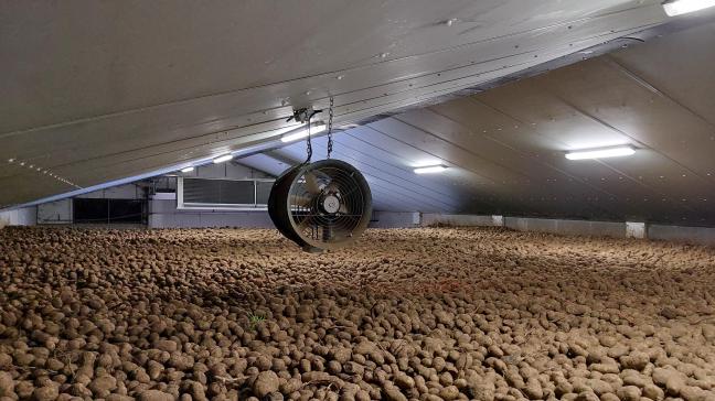 De Belgapomprijs wijzigde niet op 30 januari.