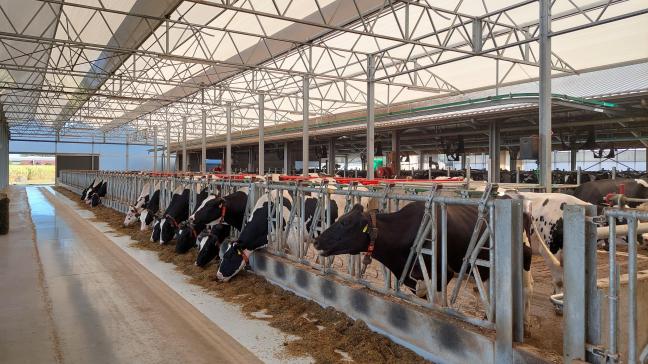 Het ABS heeft felle kritiek op het landbouwbeleid van de provincie Antwerpen.