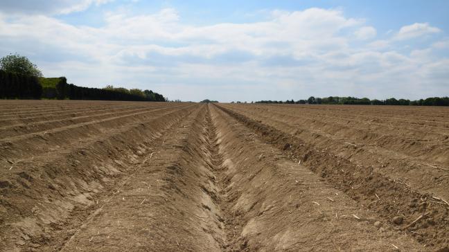 De inspanningen van groentetelers verdienen een correcte vergoeding van de verwerkende industrie, zegt deze open brief van 4 organisaties die landbouwers vertegenwoordigen.