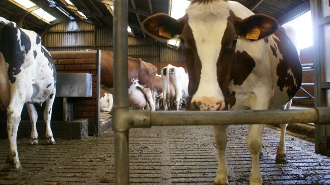 In bepaalde gevallen kan je een afwijking kan aanvragen op de berekeningsmethode van de referentiesituatie 2021.