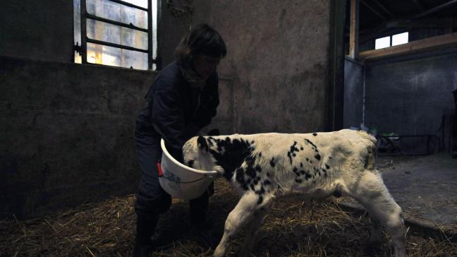 Boeren kampen vaker dan vele andere beroepsgroepen met isolement en eenzaamheid.