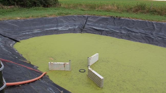 Een van de gestarte Leader-projecten zet in op de innovatieve teelt en verwerking van waterlinzen (eendenkroos).