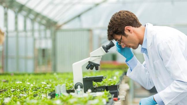 AI speelt een structurele rol in de manier waarop Syngenta wordt aangestuurd.