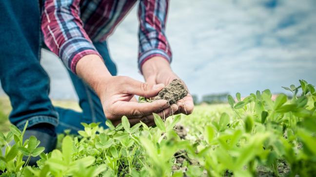 Wil je meer te weten komen over koolstofboeren? Kom dan naar de infosessie op 21 februari.