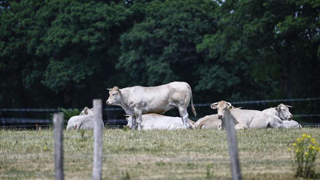 De landbouwsector is in iedere provincie anders.