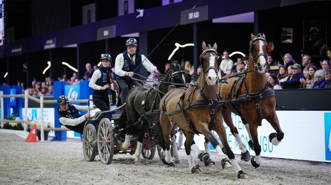 Onze landgenoot Dries Degrieck en zijn span: een Belgische zekerheid die ‘certain’ werd in Bordeaux in de FEI Worldcup Final Driving 2025-2026.