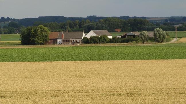 Onderzoek van het ILVO toonde aan dat het OCMW-patrimonium in Vlaanderen en Brussel (grotendeels landbouwgrond) de voorbije 20 jaar met 30% daalde.