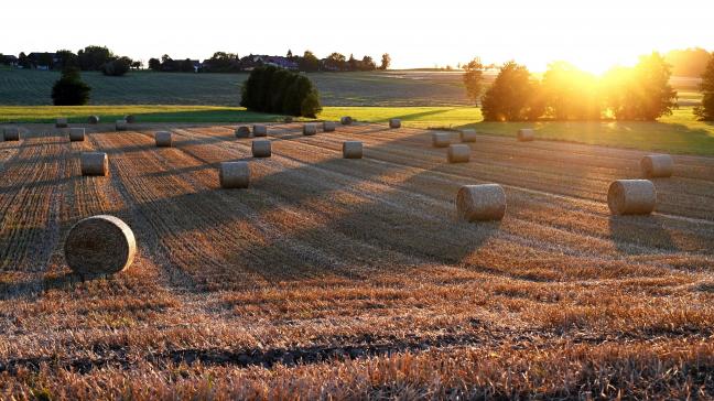 De Europese Rekenkamer stelt dat landbouwinnovatie voldoende voedingsbodem in de EU mist.