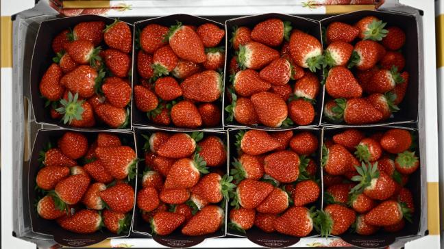 De eerste aardbeien van het seizoen zijn verkocht.