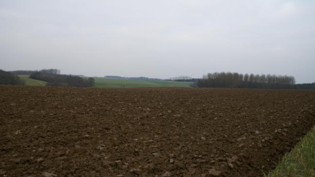 Viaverda en Inagro zoeken geschikte praktijkpercelen met bekende aanwezigheid van zogenaamde ‘koperwormen’.