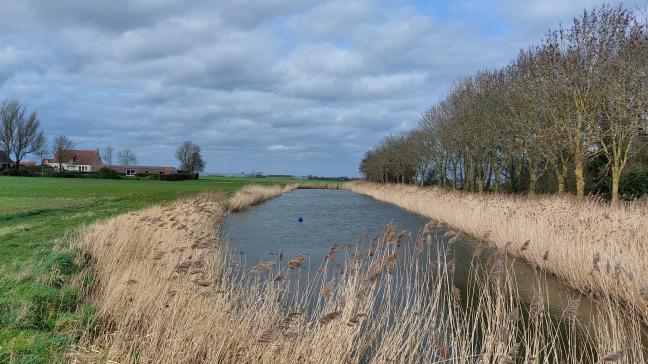 Raakvlakken bij het waterbeheer kunnen tot echte win-winsituaties leiden.