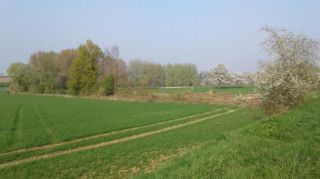 Volgens het rapport baart de achteruitgang van onze Vlaamse natuur het meest zorgen buiten de beschermde gebieden en vooral in agrarisch gebied.