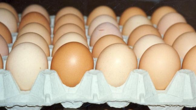 Het lijkt erop dat er een evenwicht is tussen de vraag en het aanbod inzake bio-eieren.