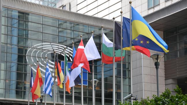 De fracties gingen ermee akkoord om aan de oorspronkelijke tekst enkele extra waarborgen toe te voegen.