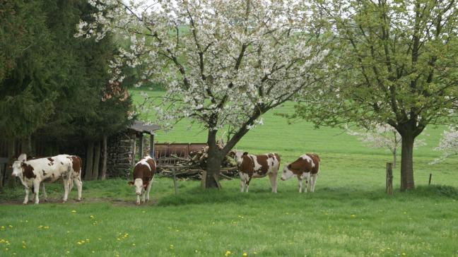 Het is tijd om te stoppen met over de boeren te praten, het is tijd om met de boeren te praten , vindt Stefaan Sintobin.