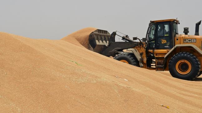 De Europese tarwevoorraad blijkt volgens het USDA zo’n 48% hoger dan een jaar geleden.