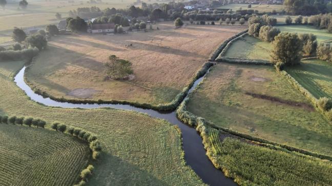 Volgens de onderzoekers van KU Leuven vraagt het versterken van biodiversiteit  om gerichte, doortastende keuzes met een duidelijke visie.