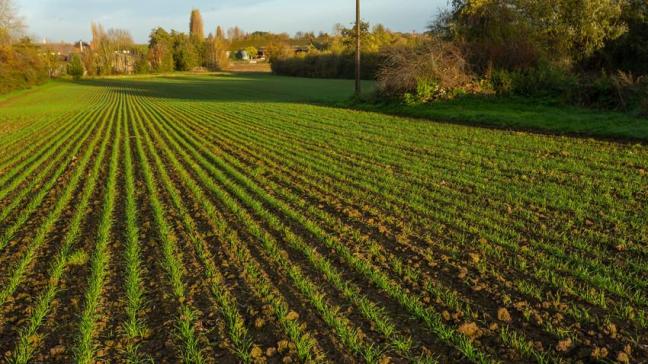 Volgens BioForum kan kiezen voor meer biologische landbouw enkele crises counteren.