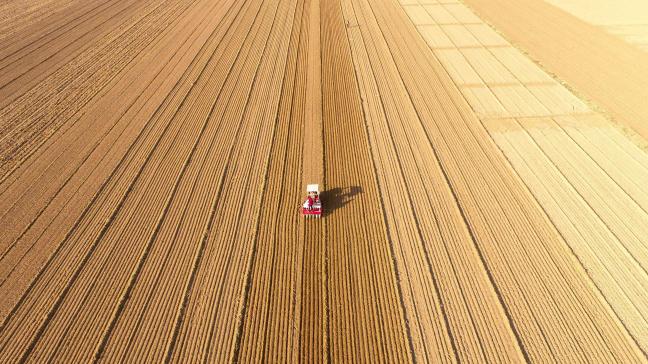 Een ‘ruim voldoende’ aanbod van granen heeft een ergere prijstoename voorkomen.