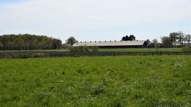 Schattingen wijzen erop dat 10% van de varkensbedrijven in Vlaanderen zich in een situatie van structurele onhaalbaarheid bevinden.