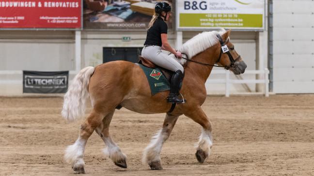 Hopper van Stoeterij Diepensteyn had de eer om het voorprogramma in te rijden.