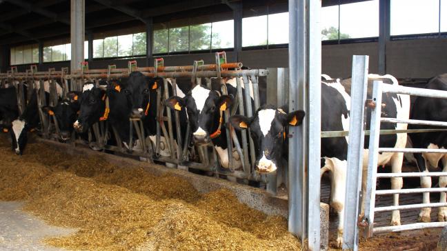Stefaan Sintobin stelt zich vragen bij de verhouding tussen het dalende aantal landbouwers en het  stijgende aantal landbouwambtenaren.