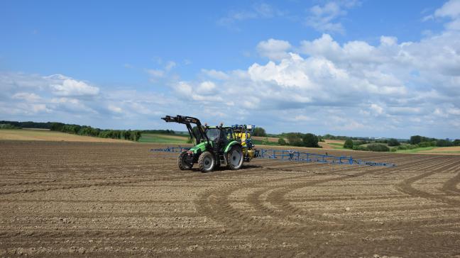 Nu de uitzaai van bieten hernomen is, moet er ook aandacht zijn voor de onkruidbestrijding.