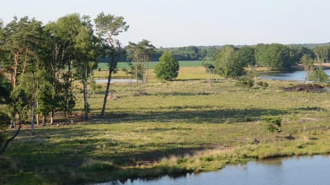 Voor het Turnhouts Vennengebied blijft er nog een doelafstand voor 2030 bestaan.