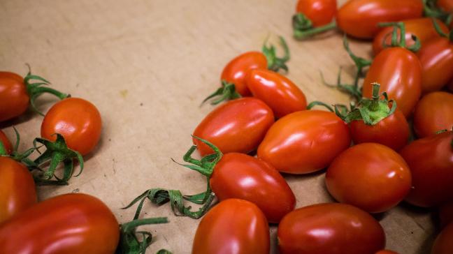 Gewasbeschermingsmiddelen blijven onder controle, ook bij ons en dus ook bij snoepgroenten.