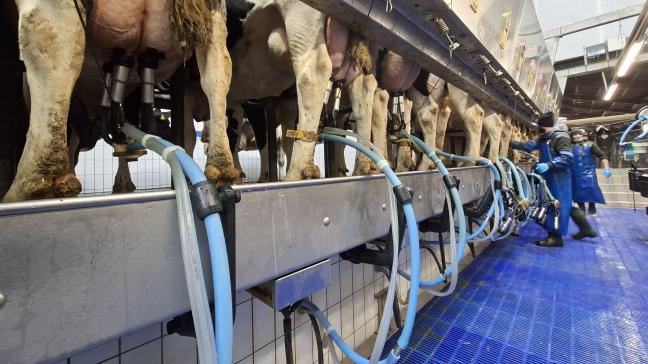 De EZ Arm moet meer ergonomie bieden bij het melken.